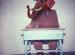 GOP elephant student sitting at desk.