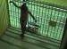 Abu Ghraib torture photo.