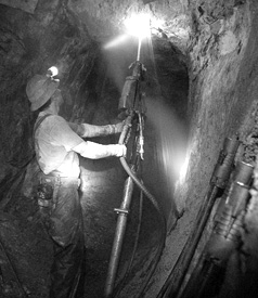 [Image: 041210levine.jpg]