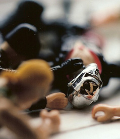 photo